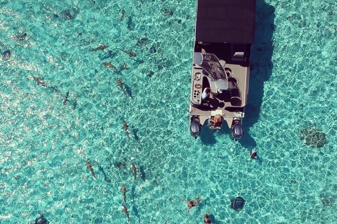 Toa Boat Bora Bora Private Lagoon tour with Lunch on Entertainer Bar Boat - Price and value: what $795 per person buys you