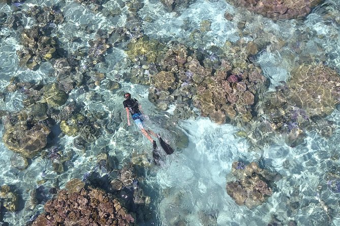 Tohora Bora Bora Snorkeling Lagoon Tours - Your Guides Matter: Simon, Tom, Ben, and Hiro Style of Care