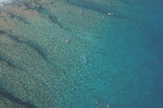 Tohora Bora Bora Snorkeling Lagoon Tours - What You’ll See Most Often (And How to Think About It)