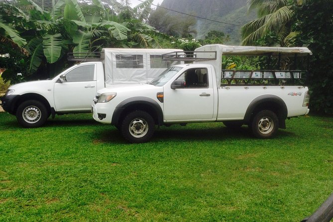 TOUR Safari 4X4 - Moorea beyond the beaches: why a 4X4 safari is the smart move