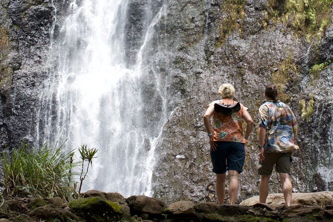 Tour Tahiti in Private - Turning a Papeete Layover into Island Time