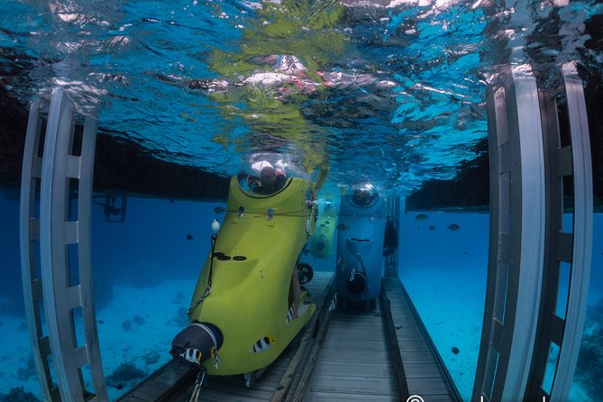 Underwater Scooter - What You’ll See Underwater (And How The Guides Help)