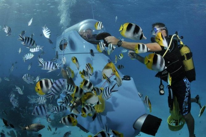 Underwater Scooter - Safety And Comfort: Professional Guides, Clear Support, Small Groups