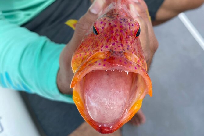 Unique in Raiatea: discover the lagoon, fish, cook, enjoy! - Raiatea and Tahaa stops: how Jardin de Corail and Domaine Pari Pari change the feel