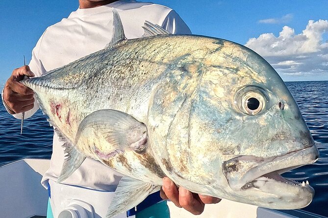 Unique in Raiatea: discover the lagoon, fish, cook, enjoy! - Timing, sun, meeting point, and wave reality for a smooth 8:30 start