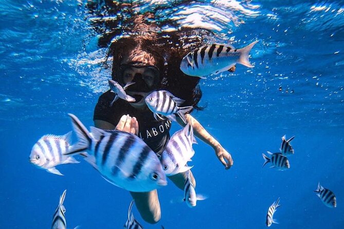 Want to escape? Treat yourself to a snorkeling session in Tahiti! - Key highlights before you go