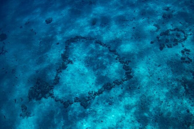 Want to escape? Treat yourself to a snorkeling session in Tahiti! - The wreck stop off Tahiti Faaa Airport: controlled curiosity
