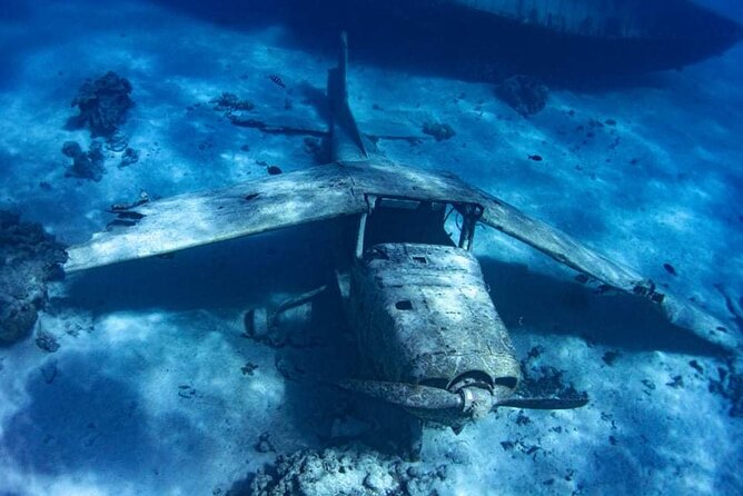 Want to escape? Treat yourself to a snorkeling session in Tahiti! - Price and value: why $120 can work for the right person