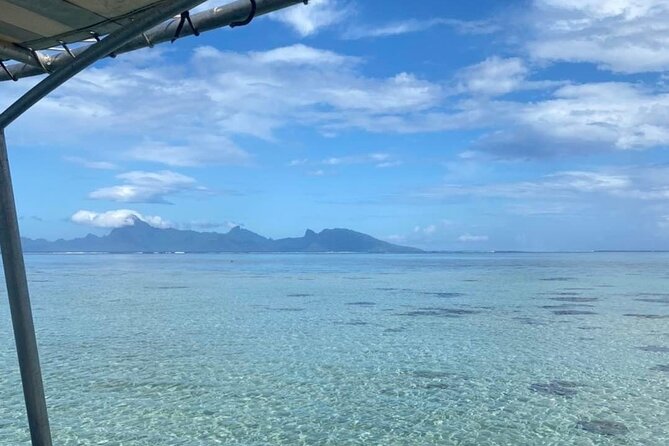 Want to escape? Treat yourself to a snorkeling session in Tahiti! - Who should book this, and who should choose a different kind of day