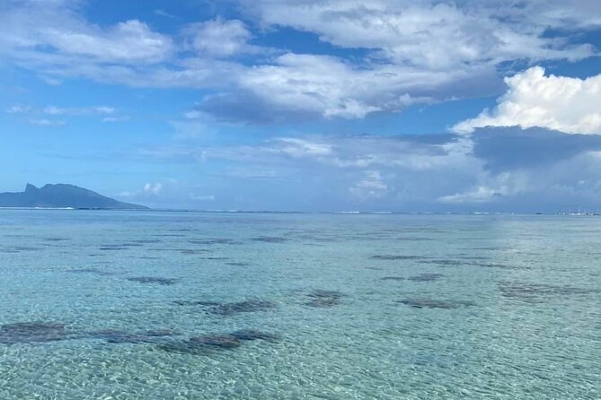 Want to escape? Treat yourself to a snorkeling session in Tahiti! - Nuuroa Bay dolphins and the Taapuna Wave kickoff