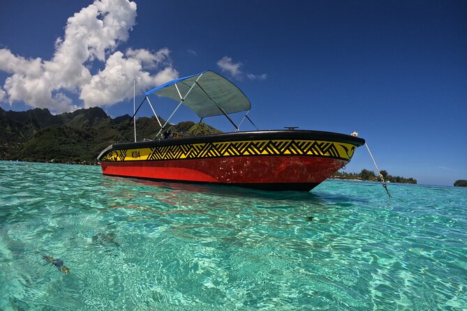 Watch and Swim with Humpback Whales in Moorea - The little comforts that make snorkeling with whales easier