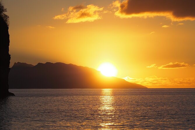 Whale watching 6 people half day - Price and value for money in Moorea whale watching