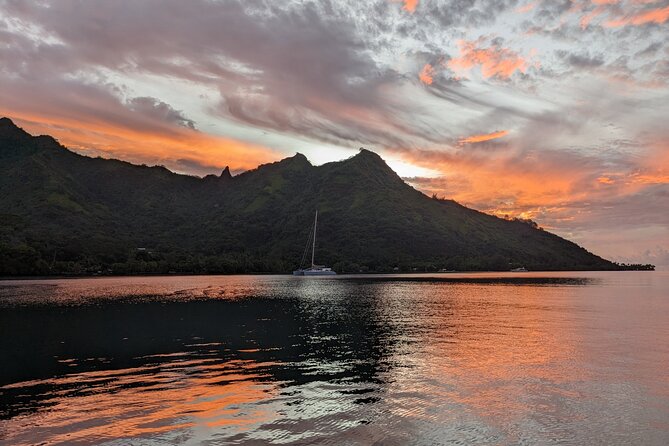 Whale watching 6 people half day - Should you book this Moorea half-day whale watch?