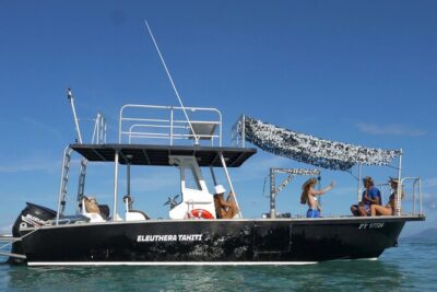 Whale Watching Activity