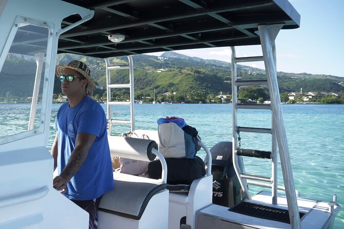 Whale Watching Activity - Reef Snorkeling and Turtle Sightings Along the Way