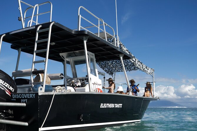 Whale Watching Activity - Price, Value, and Who This Tour Is For
