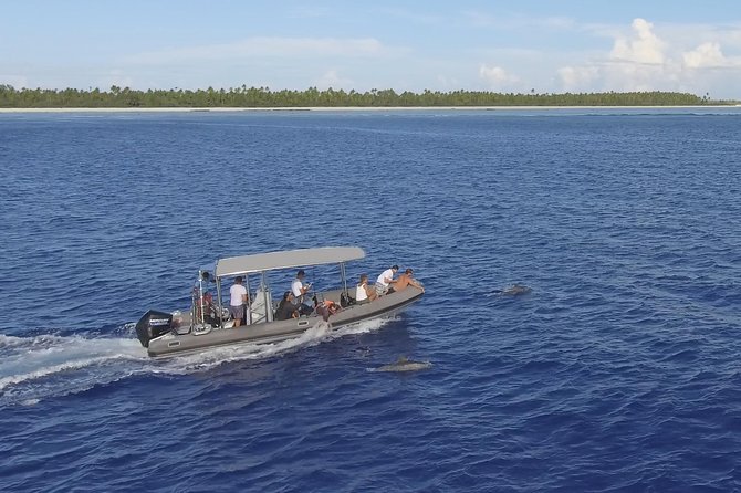 Whale Watching Bora Bora - Price and value: is $304 worth it?