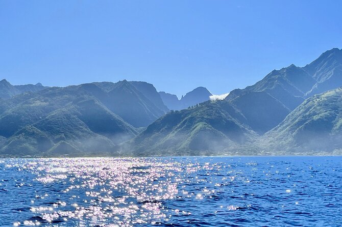 Whale watching DE Humpback West Coast of Tahiti - Price and Logistics: 4 hours that can feel long, or perfect