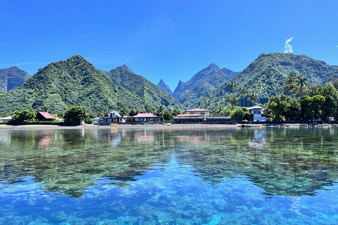 Whale watching DE Tahiti Peninsula - Key Points at a Glance