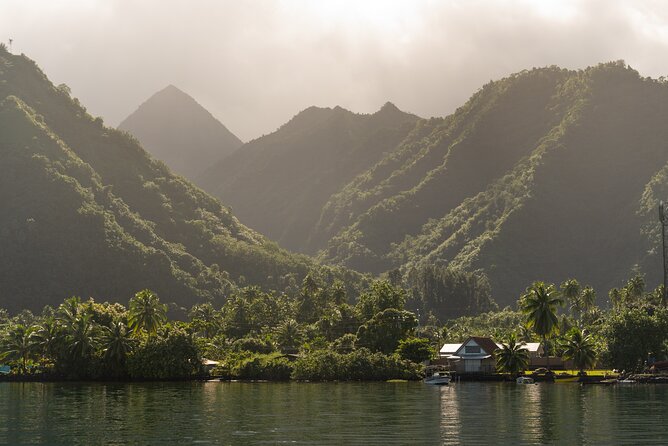 Whale watching DE Tahiti Peninsula - Weather, Whale Behavior, and the One Thing You Can Control