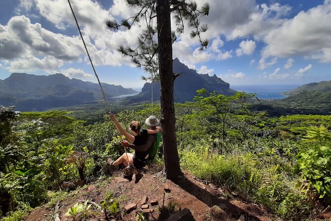 Whale watching in Moorea - What About the One Real Headline Risk: No Whale Guarantee