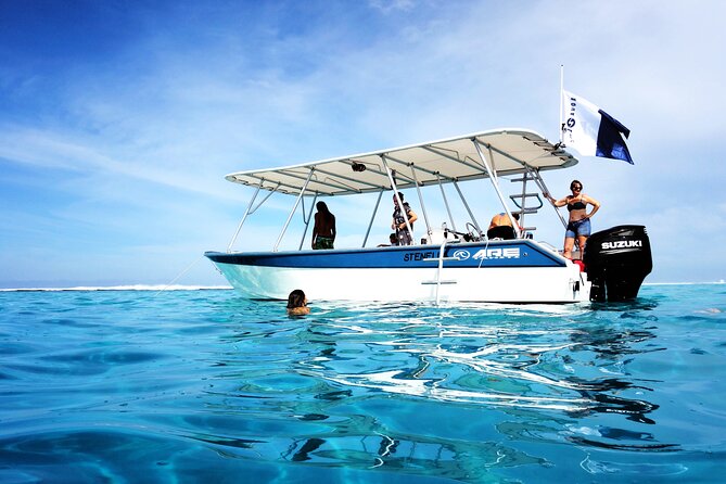 Whale watching on the preserved and quiet coast of Paea (Pk26) - Entering the water under DIREN rules, plus the swim requirement