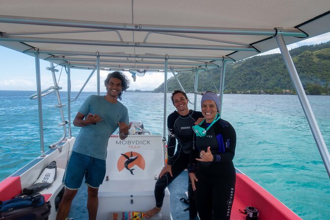 Whale watching on the preserved and quiet coast of Paea (Pk26) - Weather, seasickness, and what to bring for a fast-changing ocean