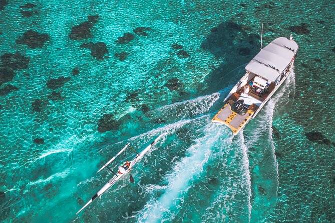 Whale Watching Shared Half Day - Group Size and Shared Format: Why Max 6 Is a Plus