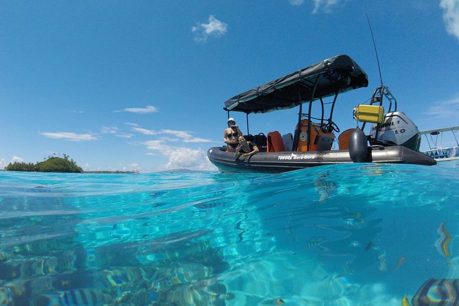 Whale Watching Tours in Bora Bora - Snorkeling lagoon time and how the whale search plays out