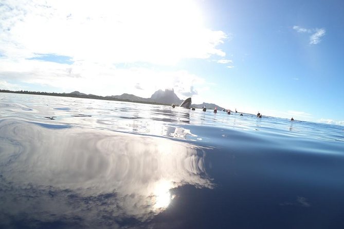 Whale Watching Tours in Bora Bora - Listening to whale songs with the directional hydrophone