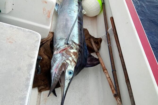 Wholesale Fishing in Poti Marara at Tahiti Teahupoo Peninsula - The Teahupoo Stop: Morning Timing and What to Watch For